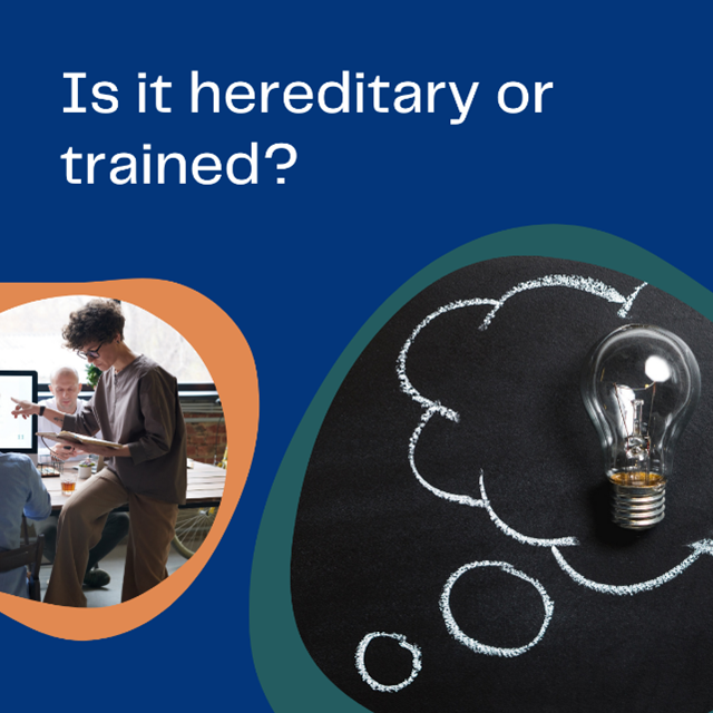 Can I learn to Innovate and Improve?